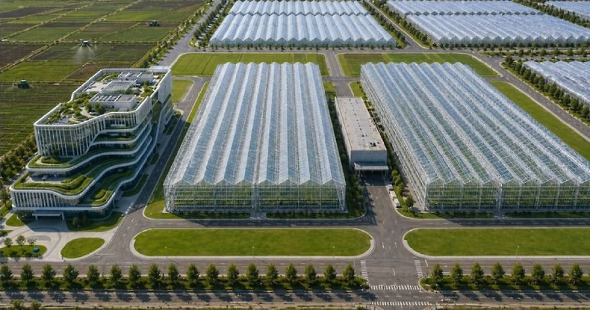 무안에 2546억 들여 ‘AI-로봇 농업기지’