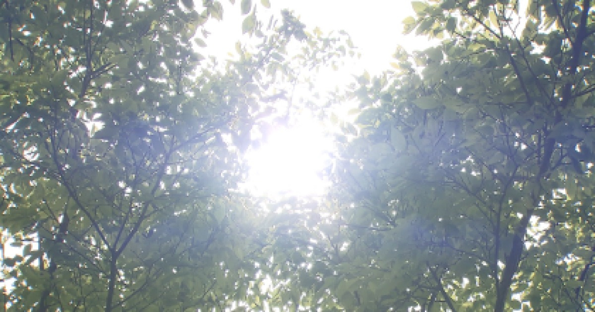 노동절 날씨 관련 이미지