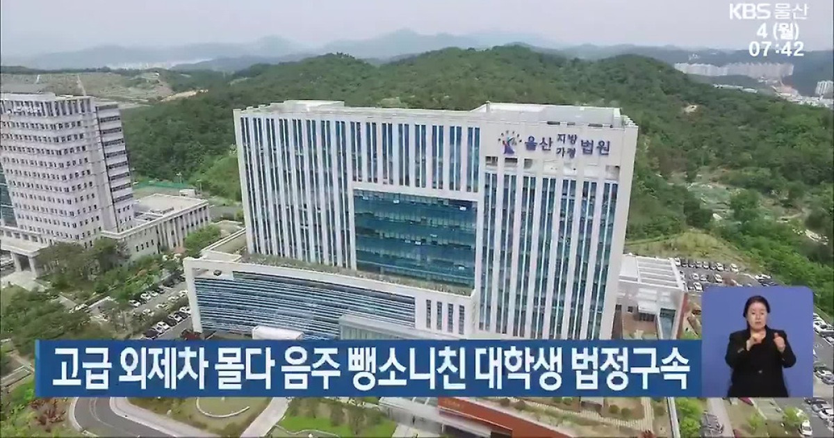 고급 외제차 몰다 음주 뺑소니친 대학생 법정구속