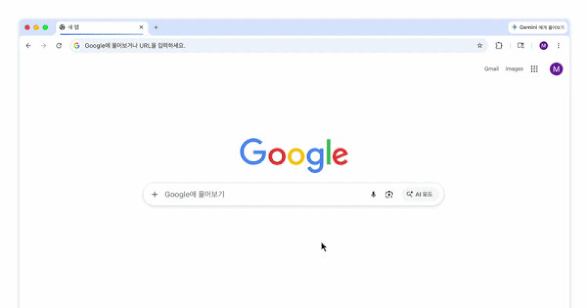 'AI 검색' 놓고 장군멍군…생존 위해 맞붙은 구글과 네이버