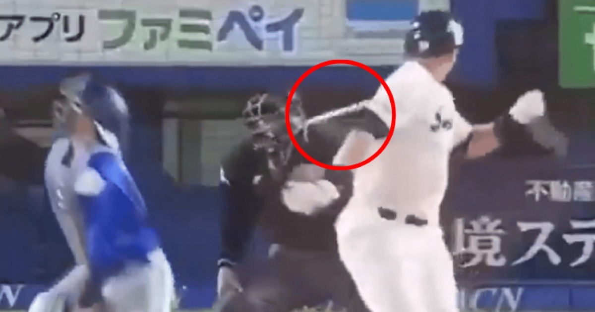 일본 프로야구 심판, 관자놀이에 방망이 직격…3주째 혼수상태