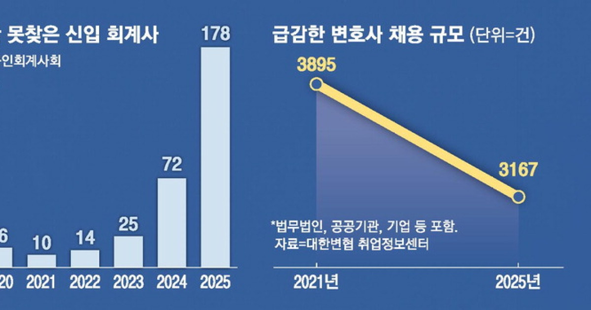"겨우 합격했는데 AI에 자리 뺏겨" 갈 곳 없는 신입 회계사·변호사