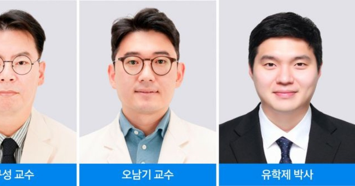 삼성서울병원 연구팀, 수술 중 '간 섬유화' 판단하는 AI모델 개발