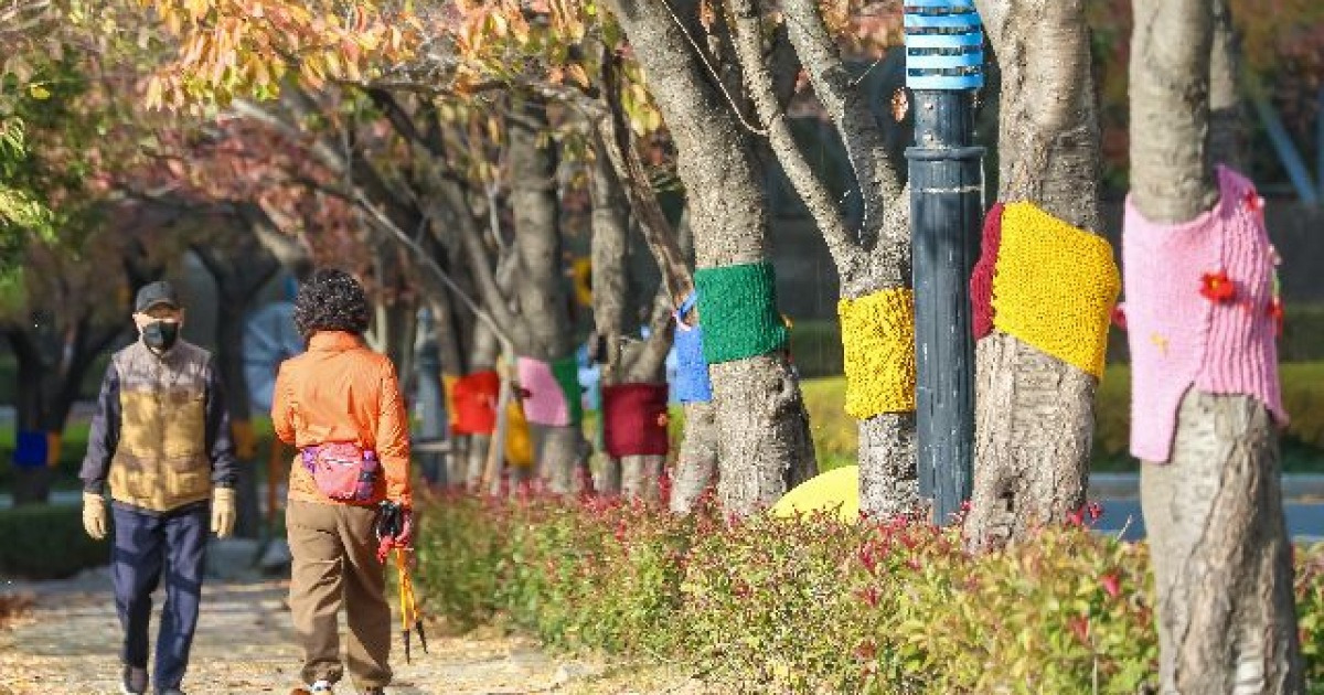 가로수도 AI로 관리하는 시대 왔다…부산시, AI 기반 수목관리시스템 도입