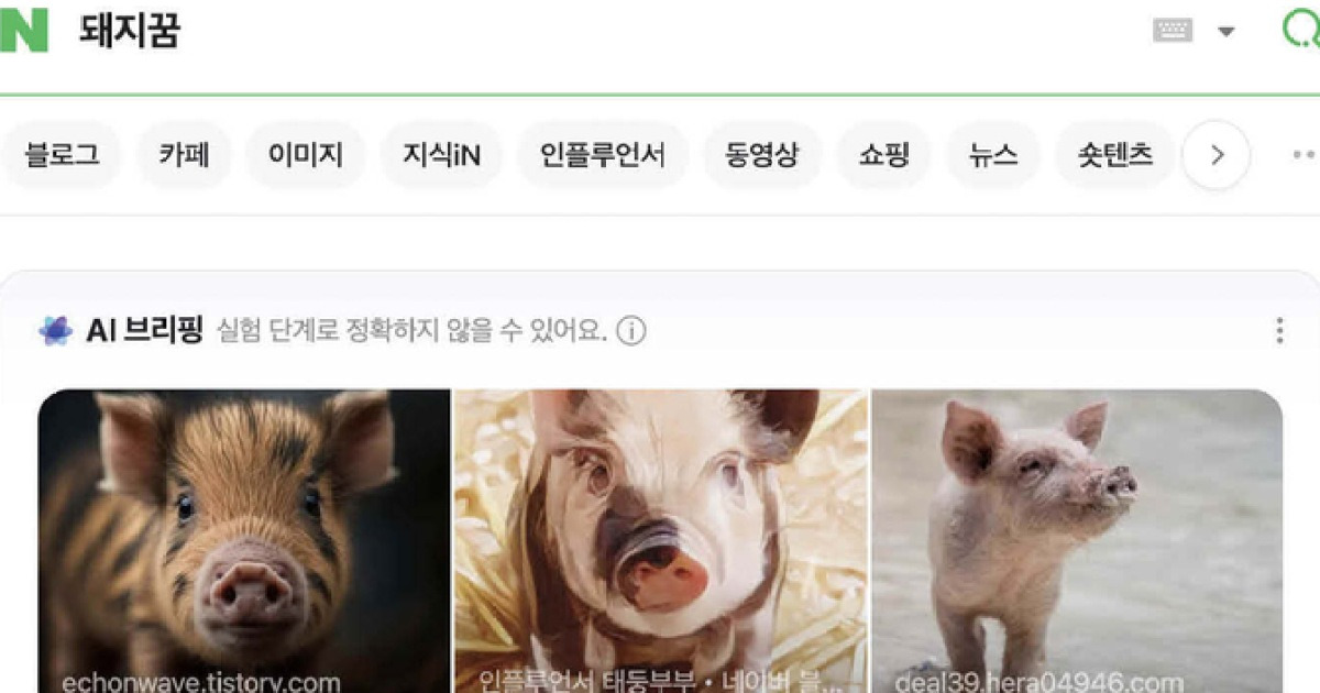 포털 검색 늘었네…제로클릭, 허상이었나 [AI 딥다이브]