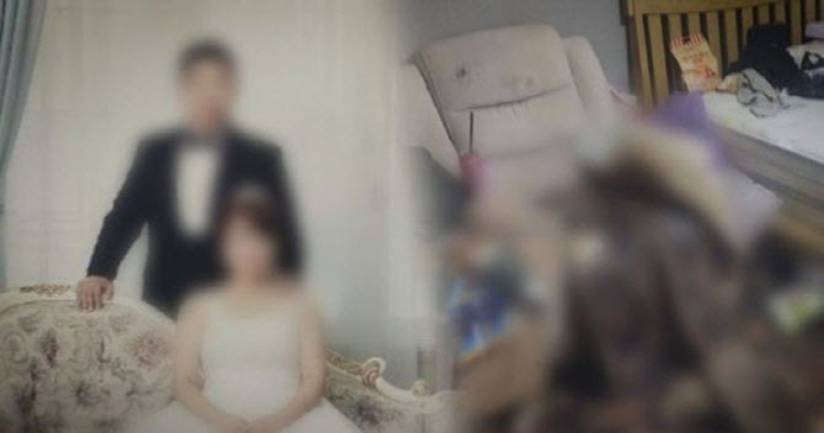 구더기 속 방치 사건 관련 보도 이미지
