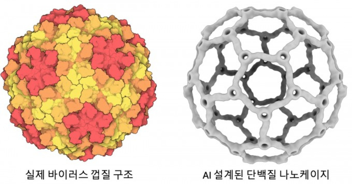 노벨상 수상자와 공동연구…AI로 축구공 닮은 '백신 배달용기' 설계