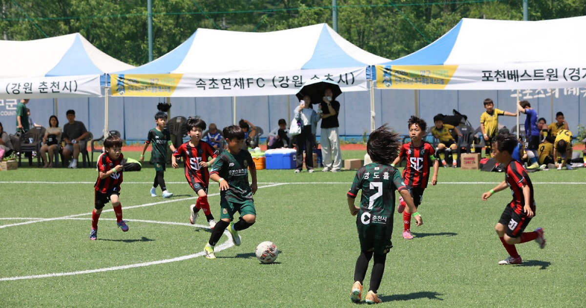'2026 힐링 양구 사과컵 전국 유소년 축구클럽 페스티벌', 2일차도 뜨거운 열기