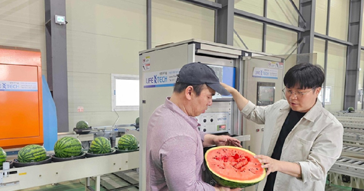 '신선식품=마트' 공식 깨졌다…AI가 바꾼 '장보기 풍경'