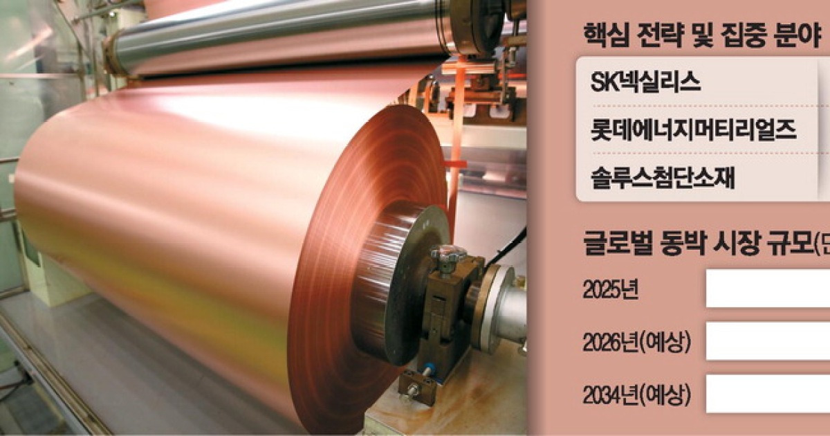 "AI 데이터센터 잡아라"… 동박3사 속도전