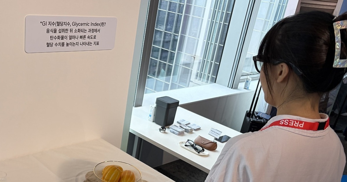 안경쓰면 AI가 답해주는 시대왔다…메타, AI안경 韓 출시