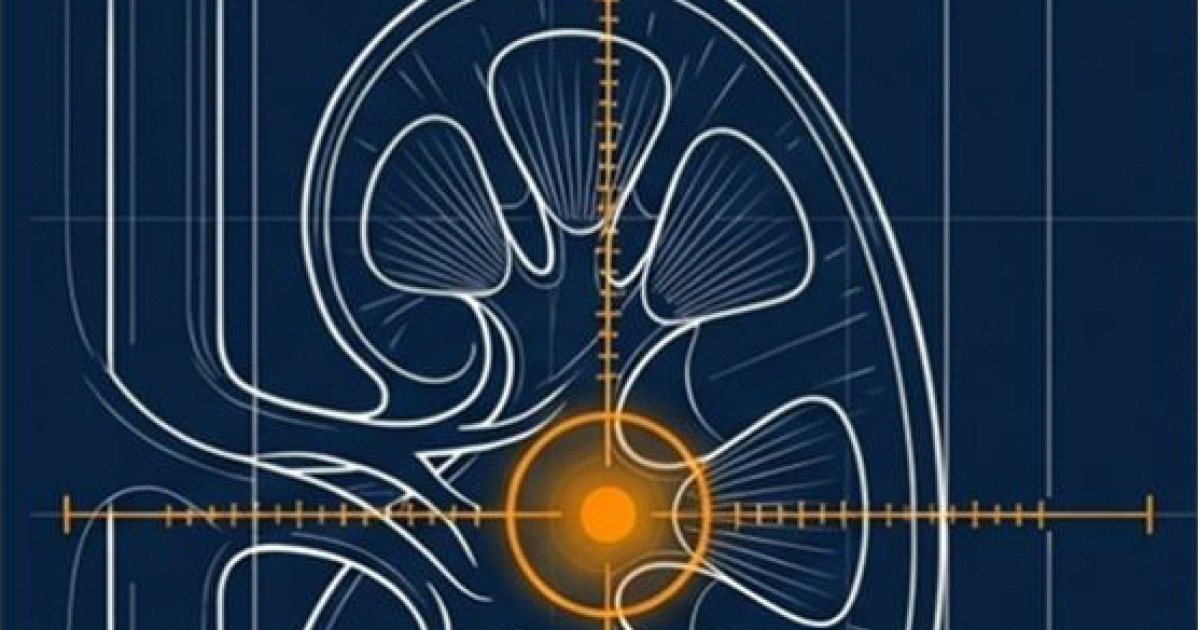 아이도트, ‘초저지연 요로결석 시술 AI 내비게이션’ 범부처 국책과제 최종 선정