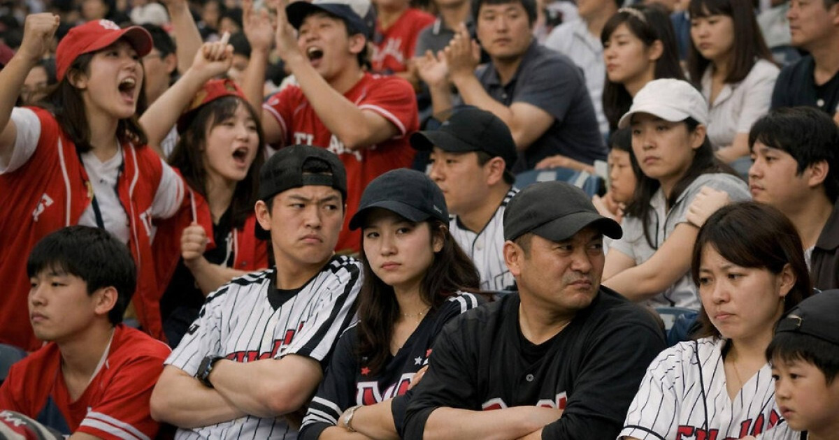 “야구 보러 갔다가 욕설에 분통”...일부 극성팬 혐오·비방에 관람석 ‘그늘’