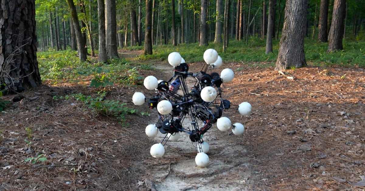 Implications for Future Robotics
