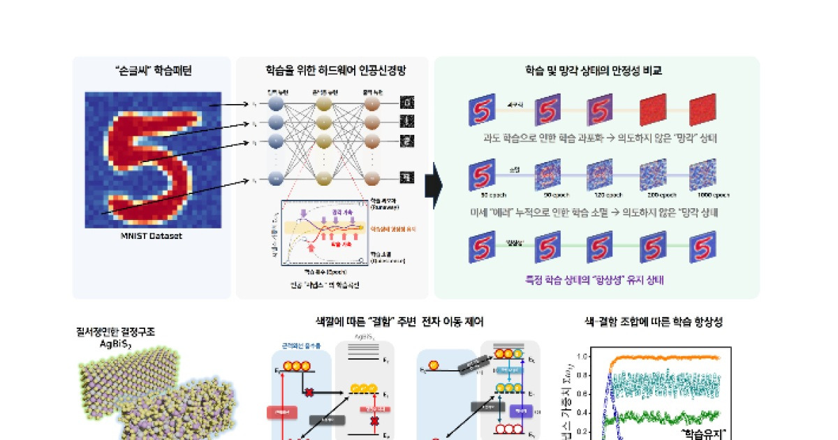 빛 색깔로 학습·망각 제어하는 AI 반도체 개발