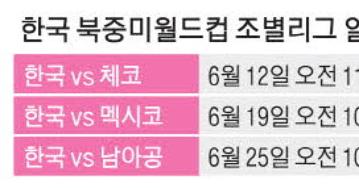 광화문 "대~한민국"… 12일 오전 11시 체코 사냥