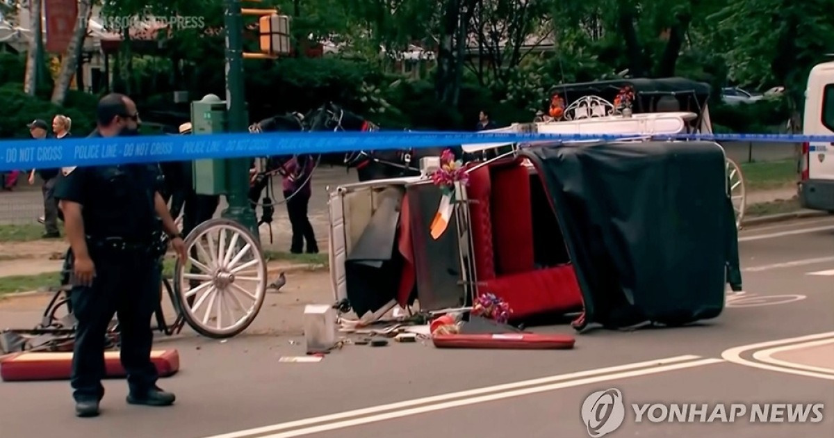 Central Park Carriage Operations Suspended Following Fatal Accident