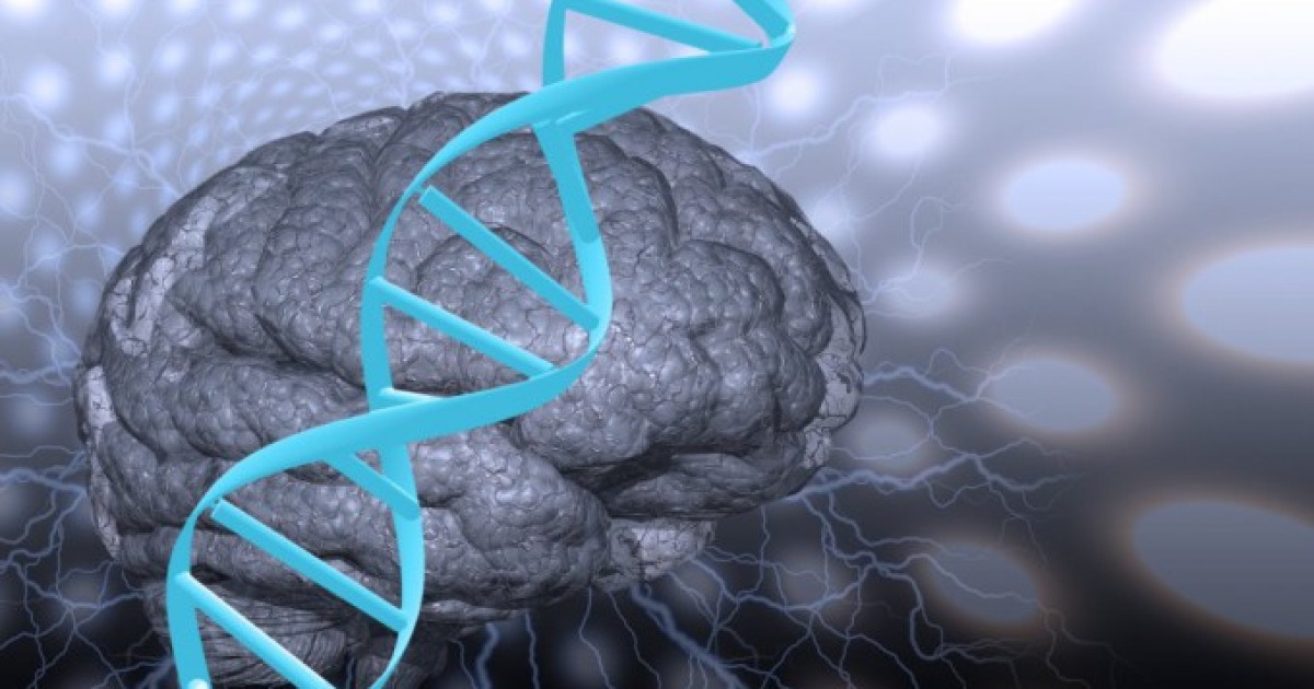641 New Genes Linked to Schizophrenia Discovered via Gene Network Analysis