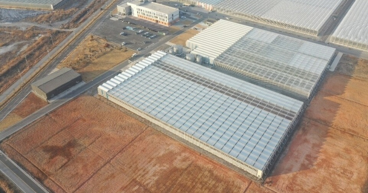 전남광주시, ‘AI 영농형 태양광 스마트팜’ 실증사업 추진