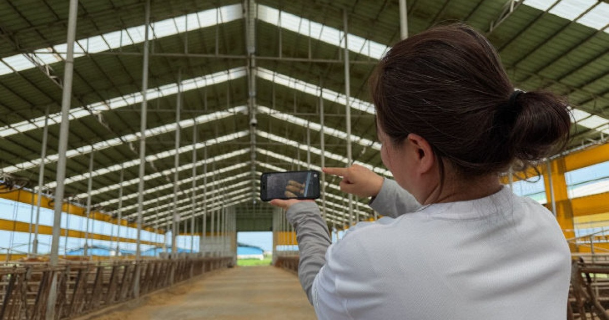 Dangjin City to Monitor Abnormal Signs in Cattle 24/7 with 'AI Smart Barns' Implementation