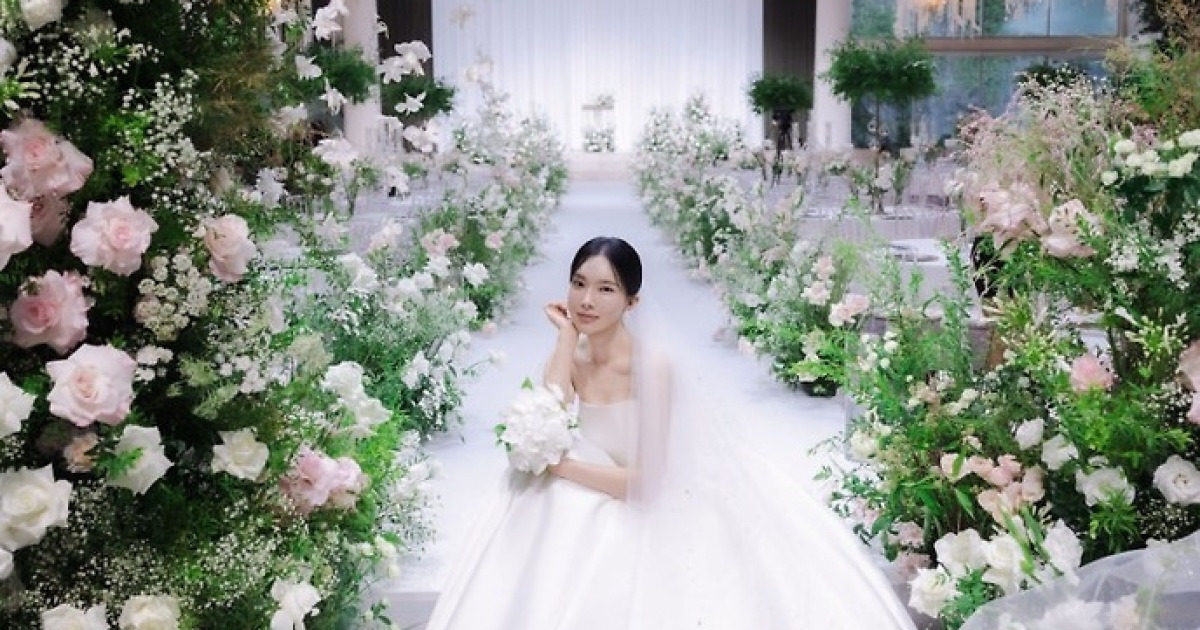 김나희