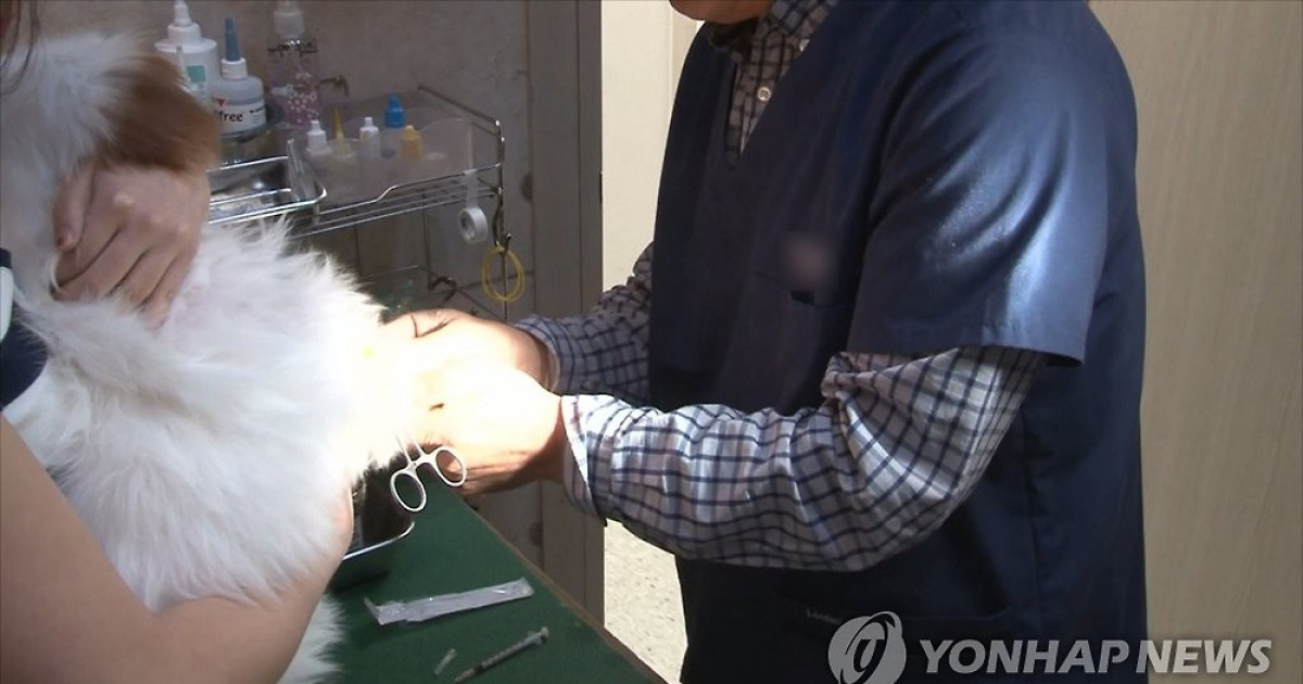 수의사