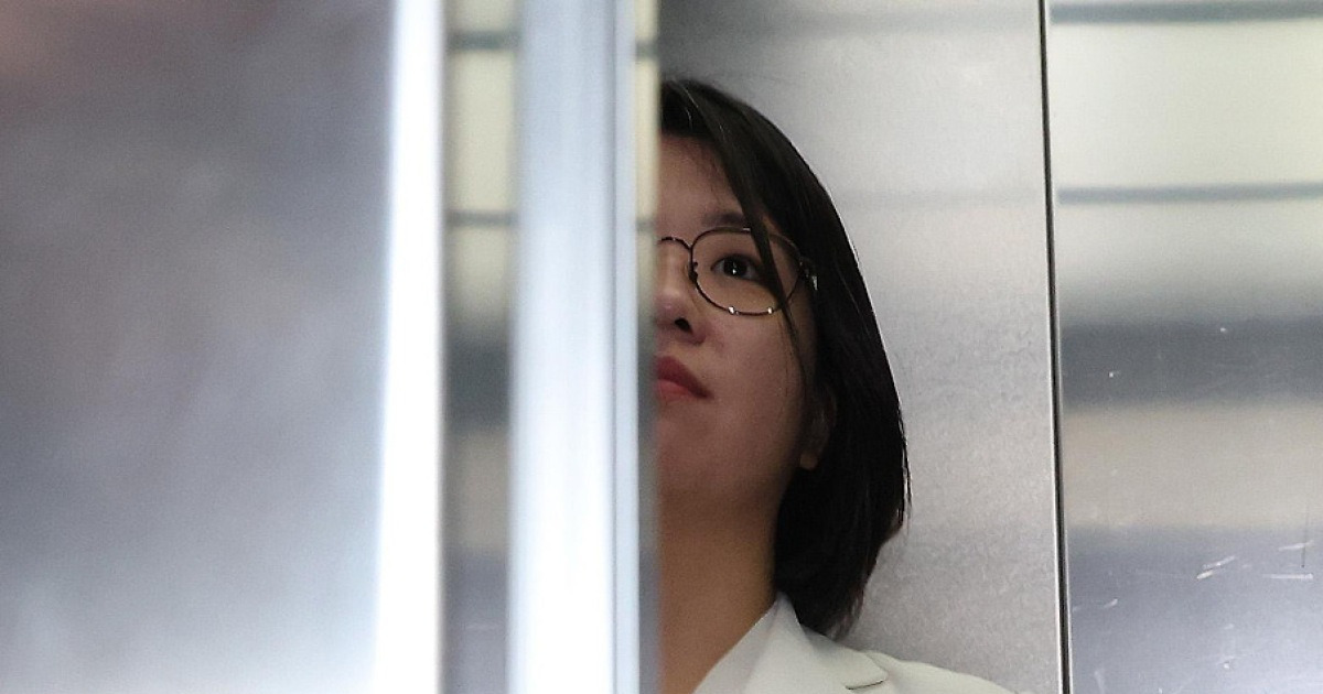 정치