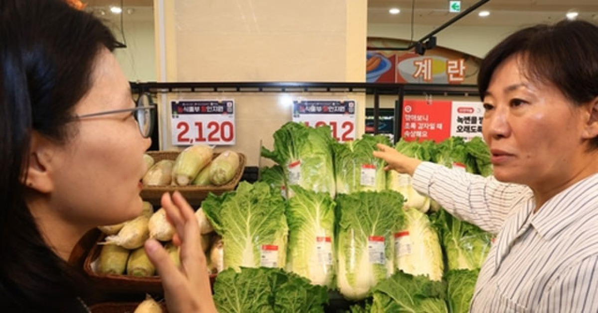 개
