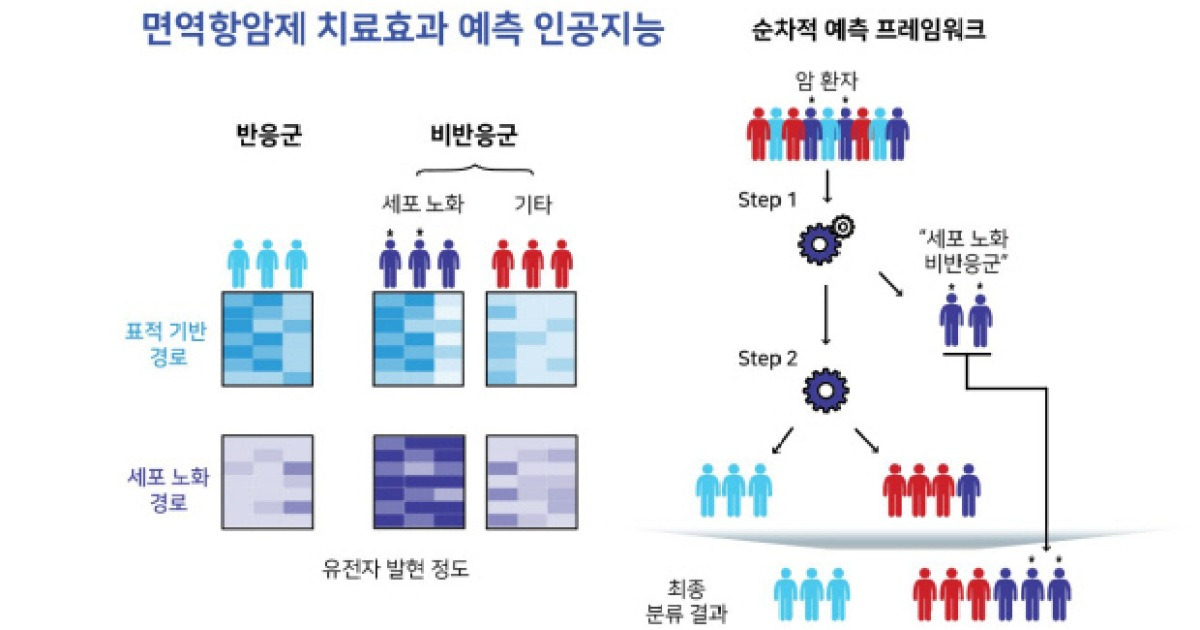 포스텍, 면역항암제 치료효과 예측 AI 개발