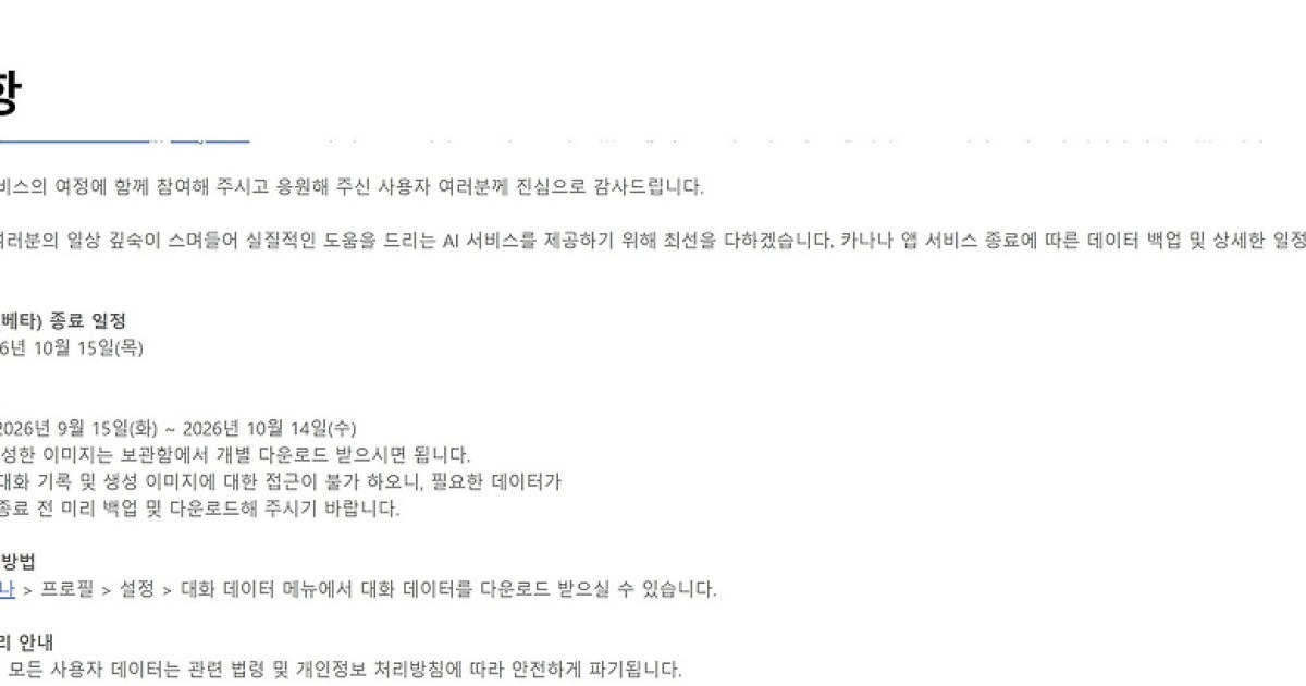 카카오, AI 챗봇 서비스 ‘카나나’… 정식 출시 못하고 내달 사업 종료