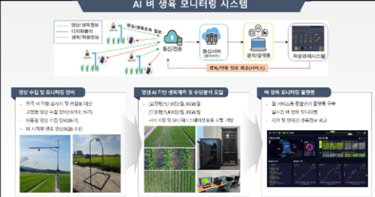 농촌진흥청, AI·영상 기반 벼 생육 모니터링 도입…노동력 60% 절감