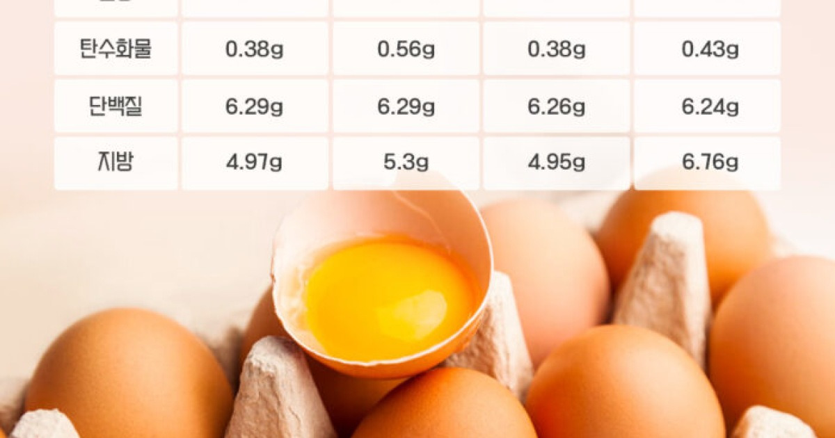 완전식품 '계란' 삶을까, 구울까…당신의 선택은?