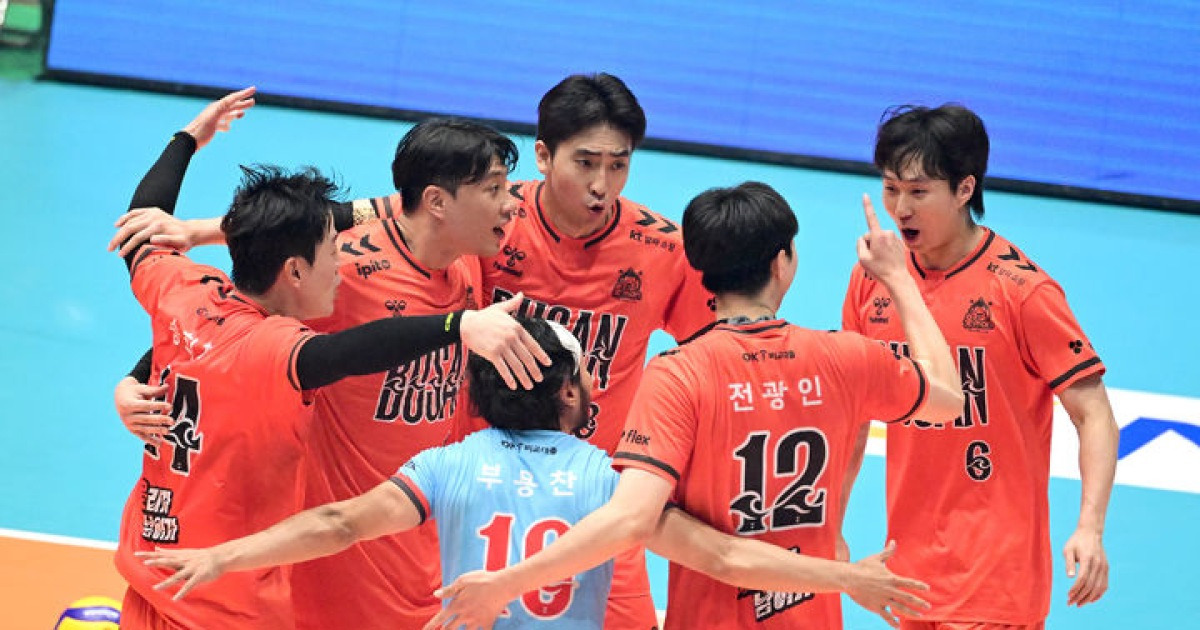 프로배구 컵대회 남자부 돌연 연기…FIVB 개최 불허하면 대회 취소