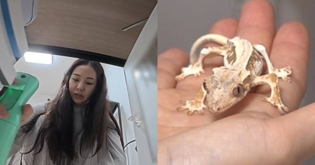 “팔다리 앙상하고 너무 말라” 한지은, 반려 도마뱀 학대 논란