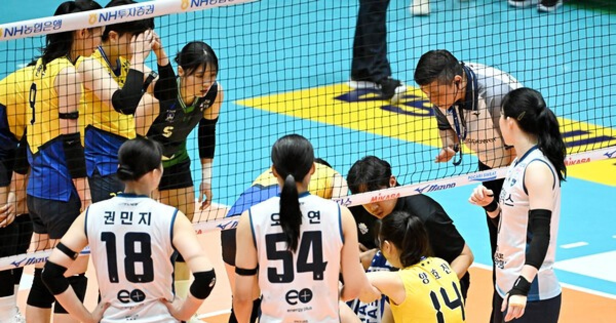 '현대건설 핵심' 양효진, 왼쪽 무릎 염좌 소견…"경과 관찰도 필요"