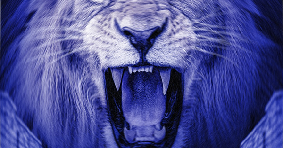 충북청주FC, 오는 27일 천안시티FC와 충청 더비서 격돌