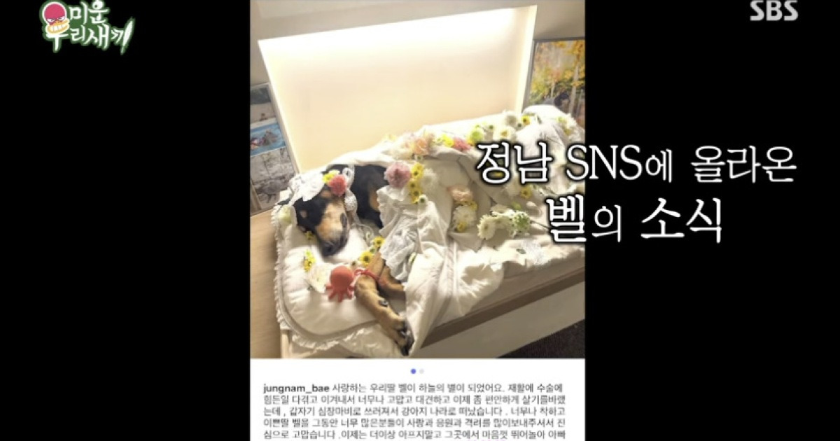 배정남, 유일한 가족 떠나보내는 길 오열 “아빠가 미안하다” (미우새)