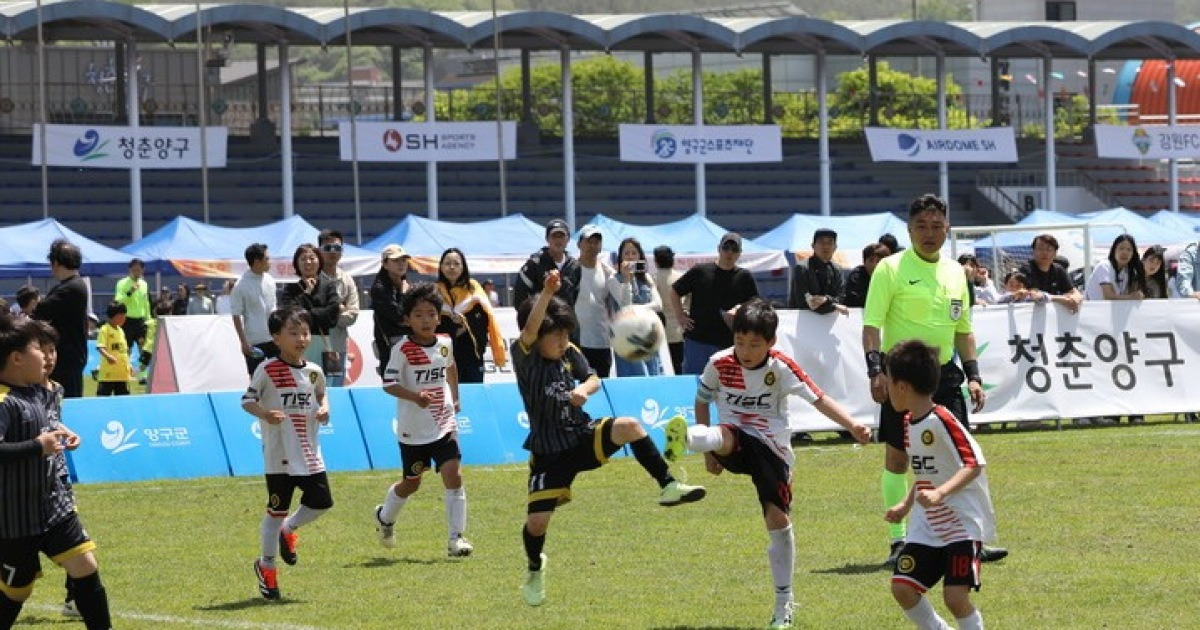 '전국 유소년 축구 꿈나무가 양구로' '2025 힐링 양구 사과컵 전국 유소년 축구클럽 페스티벌 24일 개막