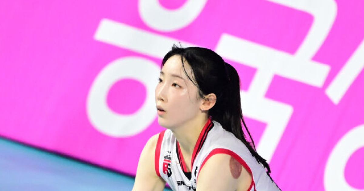 "5000만원 생각하면 지금 활약은" 정관장 신의 한 수, 방출생 세터 안 데려왔으면 어쩔 뻔…이탈리아 외인도 반했다 "자랑스럽다"