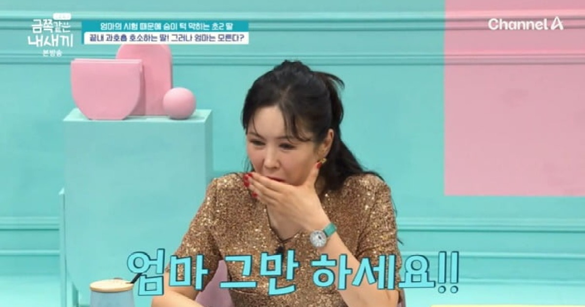 "그만하세요" 장영란, "'초2' 금쪽이 과호흡 왔는데…母 공부 집착" ('금쪽같은')