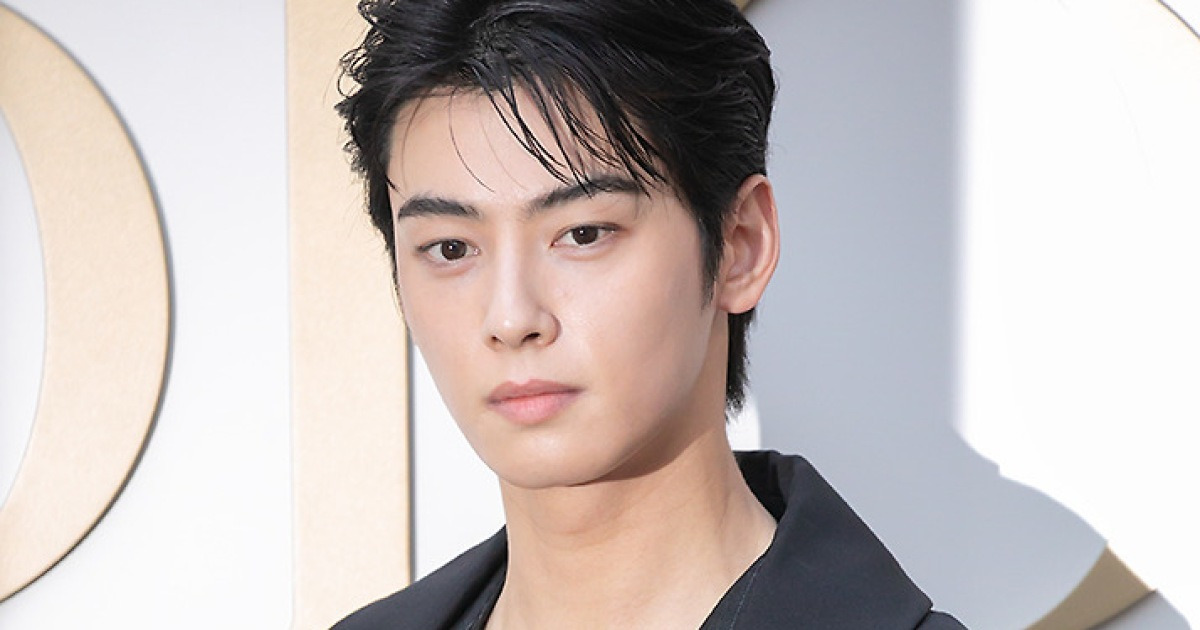 차은우, 군대서도 국위선양…APEC 정상 환영만찬 사회