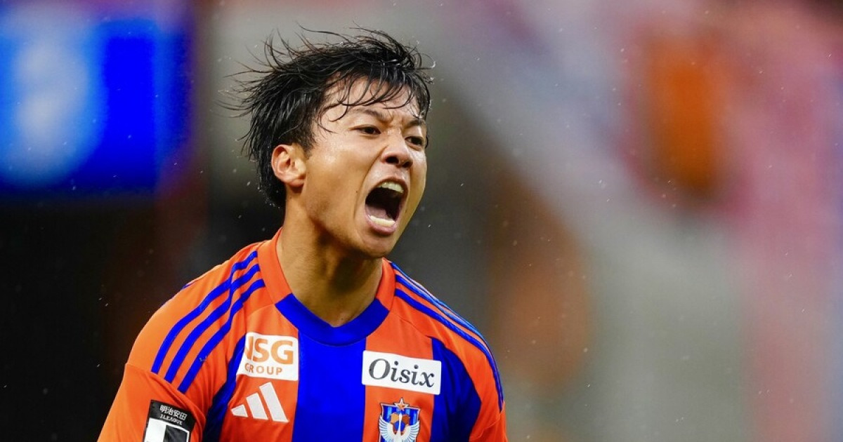 곰 습격받아 사망 ‘충격’…훈련장 전격 폐쇄→日 축구 비상사태