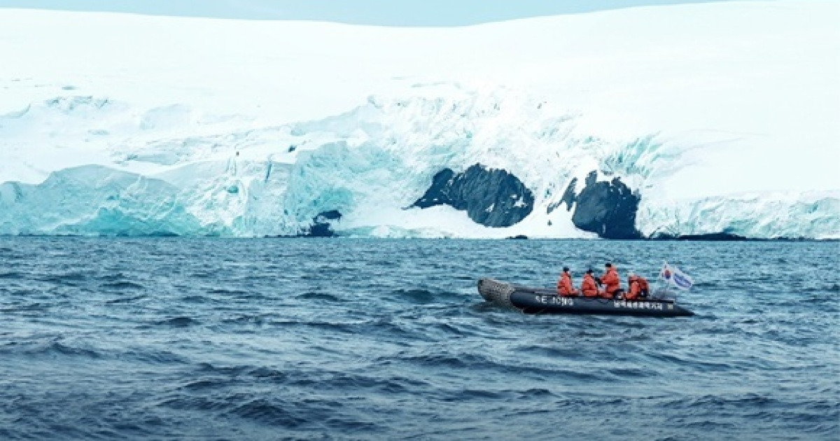 남극의 셰프 출연진 스틸컷