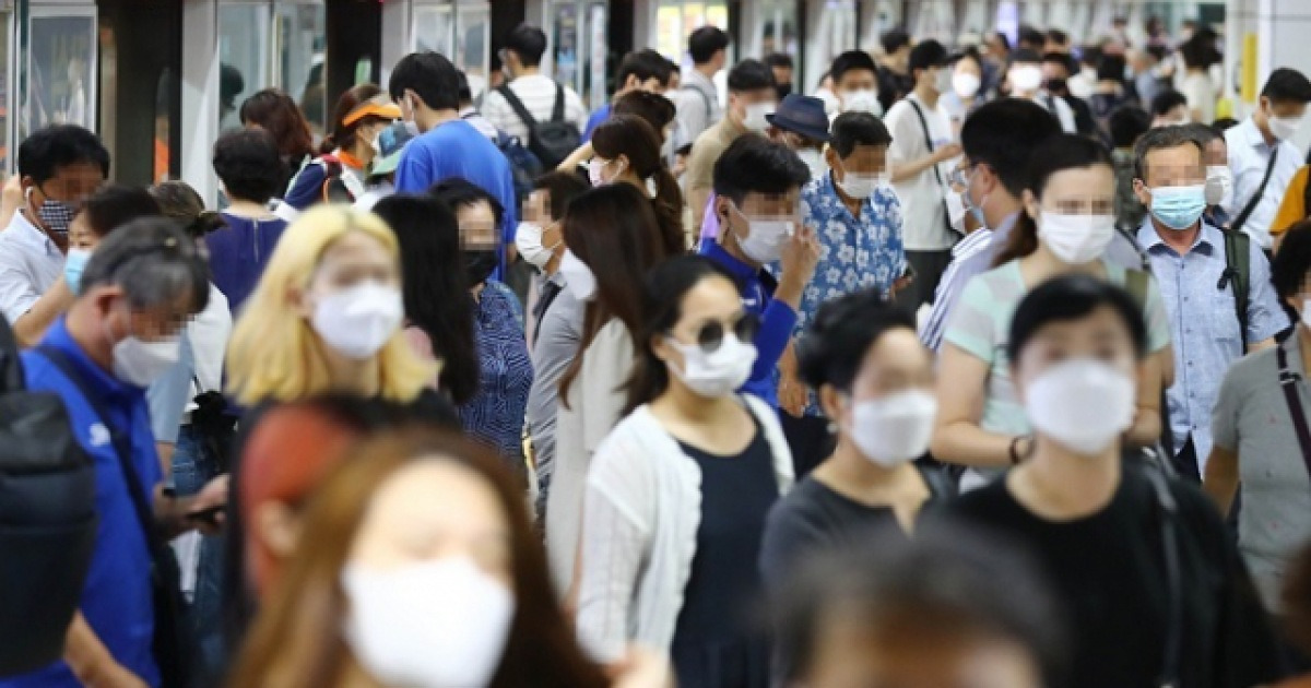 K-패스 모두의 카드 관련 이미지