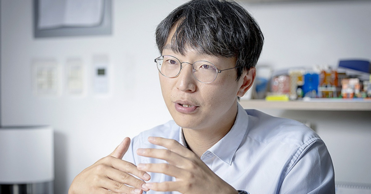 다음 뉴스 카드 이미지