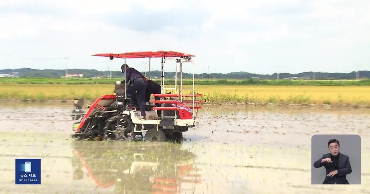 "Planting Rice and Harvesting: AI Farming Machinery Works Seamlessly"