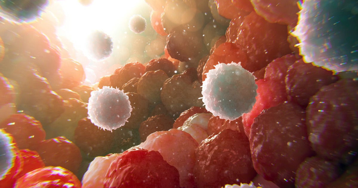 Photo: v.daum.net How High Blood Sugar Helps Cancer Cells Evade the Immune System