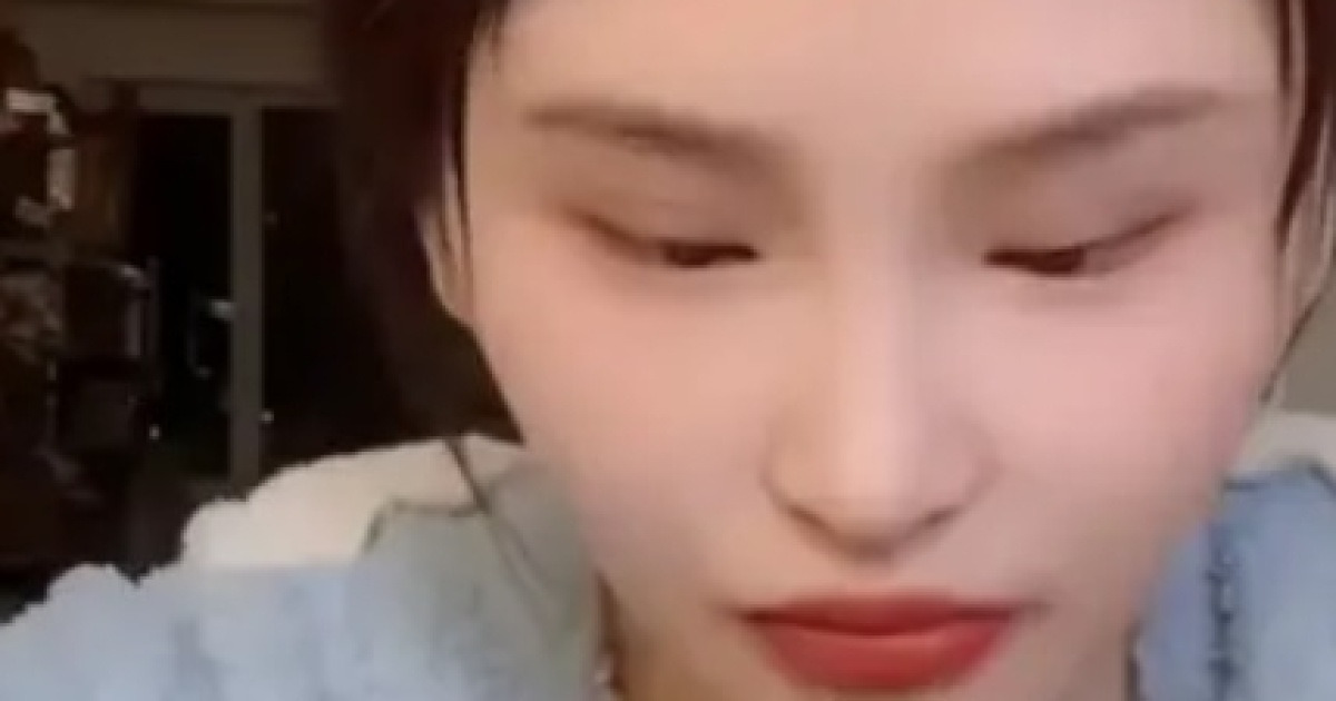 인플 루 언서