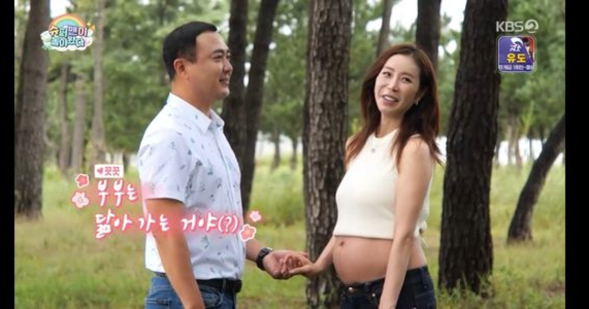 한다감