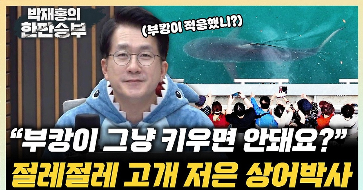 상어